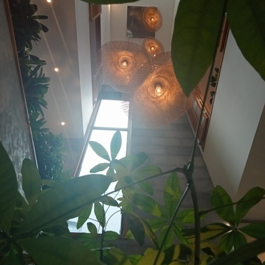 NGÔI NHÀ ĐẦY ÁNH SÁNG VÀ CÂY XANH